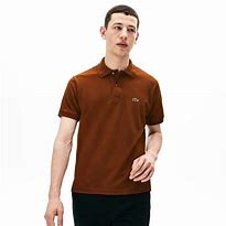 Image result for Lacoste Polo Sptrpes
