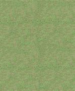 Image result for Seamless Grass Blade Texture