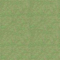 Image result for Flat Grass Texture