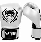 Image result for Venum Boxing Gear