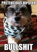 Image result for Pretentious Meme Hipster