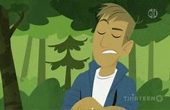 Image result for Wild Kratts Outfit