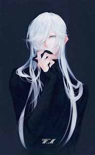 Image result for Aesthetic Anime Boy with White Hair