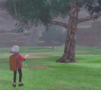 Image result for Sword and Shield Tree Glitch