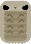 Image result for Isopod PNG