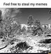 Image result for OK to Steal My Meme