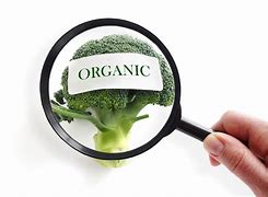 Image result for Organic Food Symbol