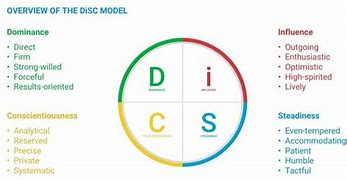 Image result for Disc Workplace