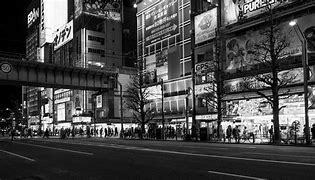 Image result for Akihabara Japan DSLR Camera