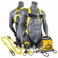 Image result for Adjustable Lanyards Fall Protection