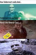 Image result for Harry Potter and Voldemort Memes