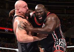 Image result for WWE Fighters
