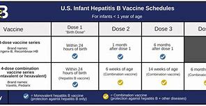 Image result for Hep B Adult Series