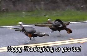 Image result for Thanksgiving Turkey Animation Memes Funny