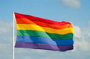 Image result for Pride Flag Flying