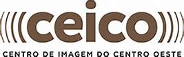 Image result for Ceico Logo NHRA