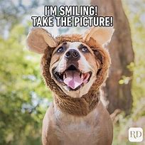Image result for Amazing Dog Meme