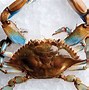 Image result for blue crab