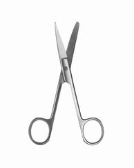Image result for Sharp Blunt Scissors