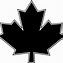 Image result for Toronto Maple Leafs Logo History