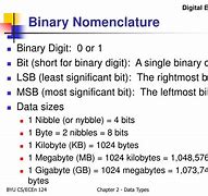 Image result for Binary Data Type
