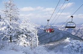 Image result for South Korea Winter Games