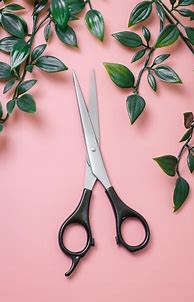 Image result for Haircut Scissors