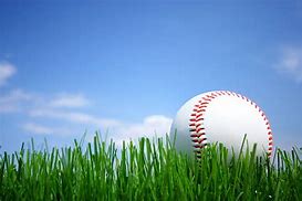 Image result for Baseball Pile Grass