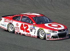 Image result for NASCAR Kyle Larson Target Car Can Cooler 42