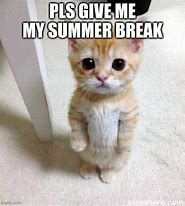 Image result for Cute Summer Break Meme