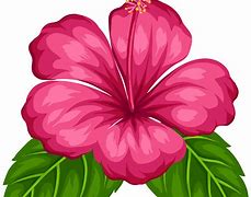 Image result for Aqua Flower Clip Art