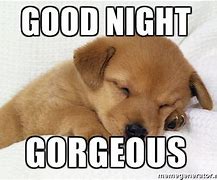 Image result for Wholesome Goodnight Memes