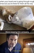 Image result for Cute Funny Animal Jokes