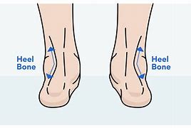 Image result for How to Determine Foot Width
