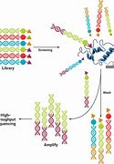 Image result for DNA Libraries