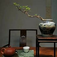 Image result for 缓行