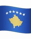 Image result for Kosovo Army Flag