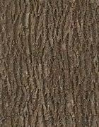 Image result for Dark Tree Bark Texture Seamless