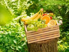 Image result for Apple Banana and Grapes