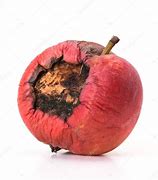 Image result for Rotten Apple Phot