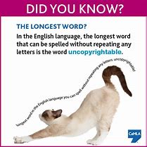 Image result for Biggest Word in the World
