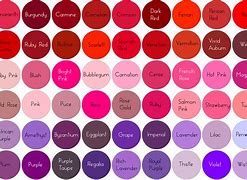 Image result for iPhone 14 Differnt Colors