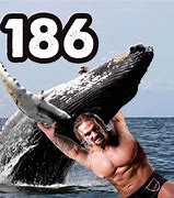 Image result for Whale SLAM! Wrestling