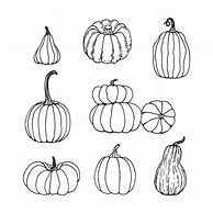 Image result for Pumpkin Cartoon