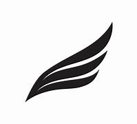 Image result for Fly Wings Logo