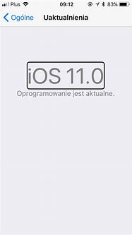 Image result for iPhone 5 Ios11