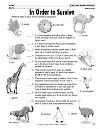 Image result for Animal Adaptations 4th Grade