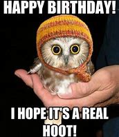 Image result for Owls Funny Birthday Memes