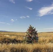 Image result for Western Desert Christmas