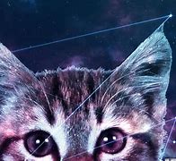 Image result for Black Cat with Galaxy Eyes